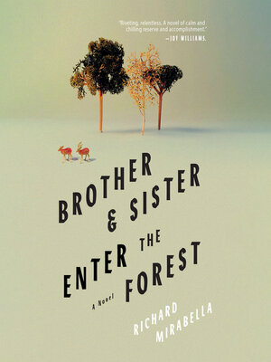 cover image of Brother & Sister Enter the Forest